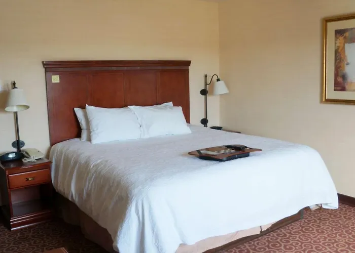 Hampton & Hotel